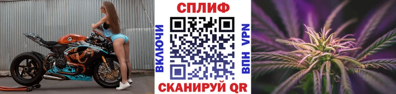 Бошки марихуана SATIVA & INDICA  Купить где  Кропоткин 